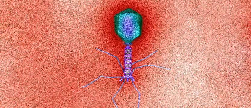 Western Firms Are Becoming Interested In A Soviet Medicine